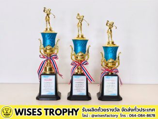 ถ้วยรางวัลสีฟ้า ถ้วยรางวัลวู้ดบอล